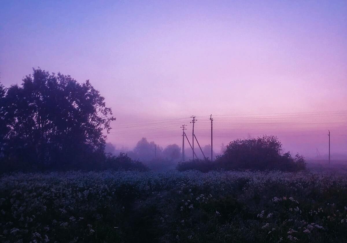 1-3！国乒奥运冠军樊振东首败，德甲男双首秀输球，一胜一负又添新伤！