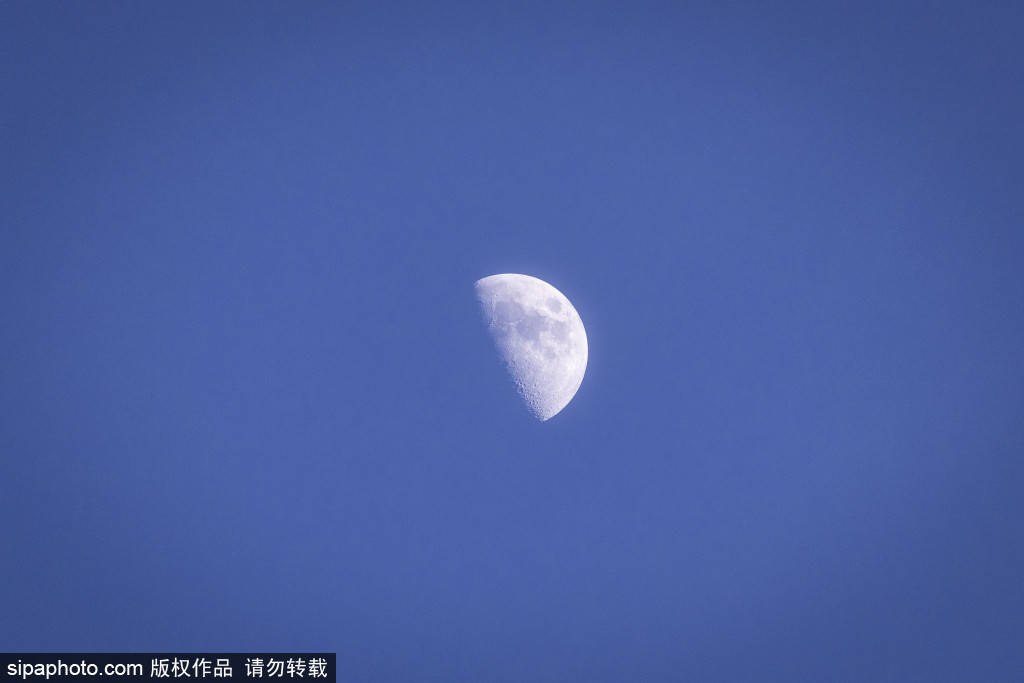 维尼修斯双响推迟巴塞罗那夺冠,西班牙人深陷保级泥潭:一场充满争议与精彩的西甲对决